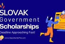 Slovak Government Scholarship 2025