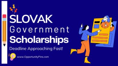 Slovak Government Scholarship 2025